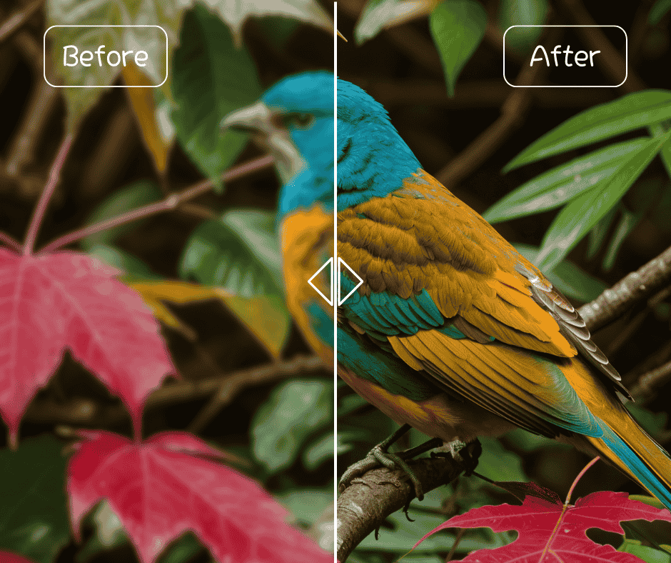 Feature image